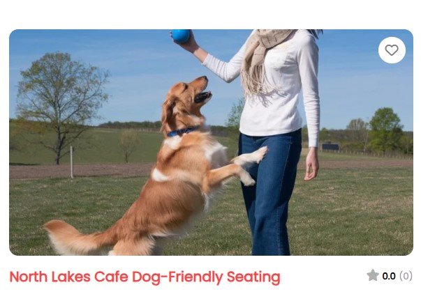 Dog-friendly café seating in North Lakes