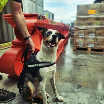 2558 australian dog solutions 1 1