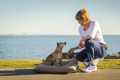 2708 veterinary companion animal behaviour service 1 1