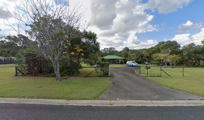 3143 capaill coloured shepherds 1 1