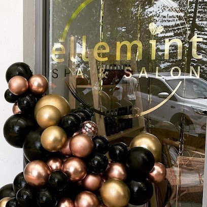 3919 ellemint spa salon 1 1